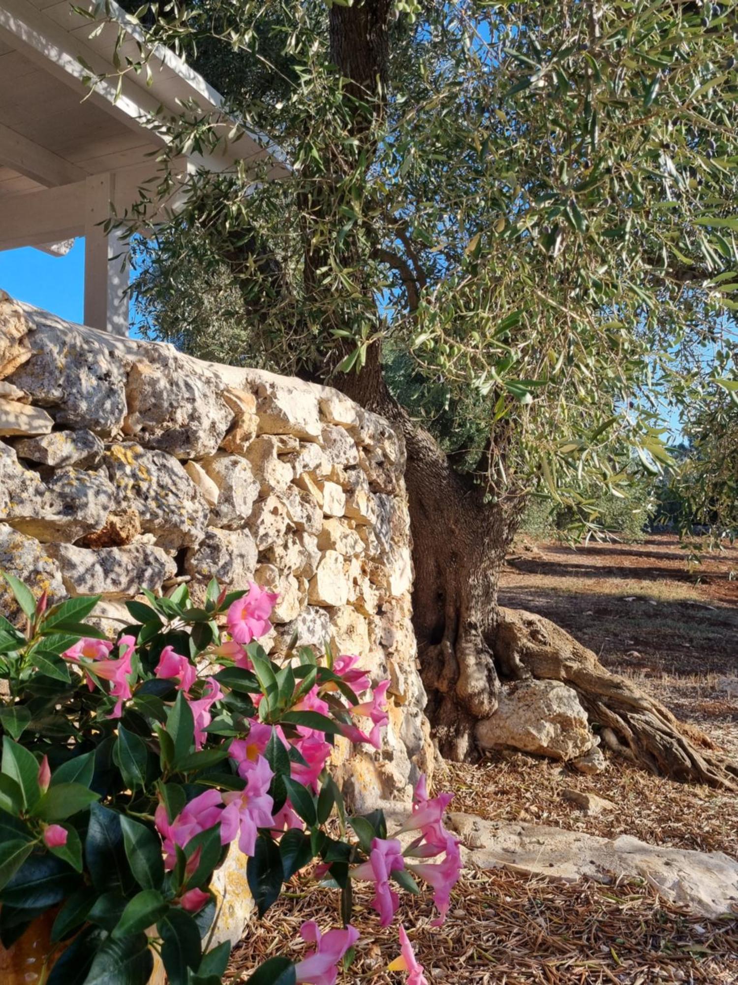 I Trulli Di Spinaruta Bed & Breakfast Grottaglie Exterior foto