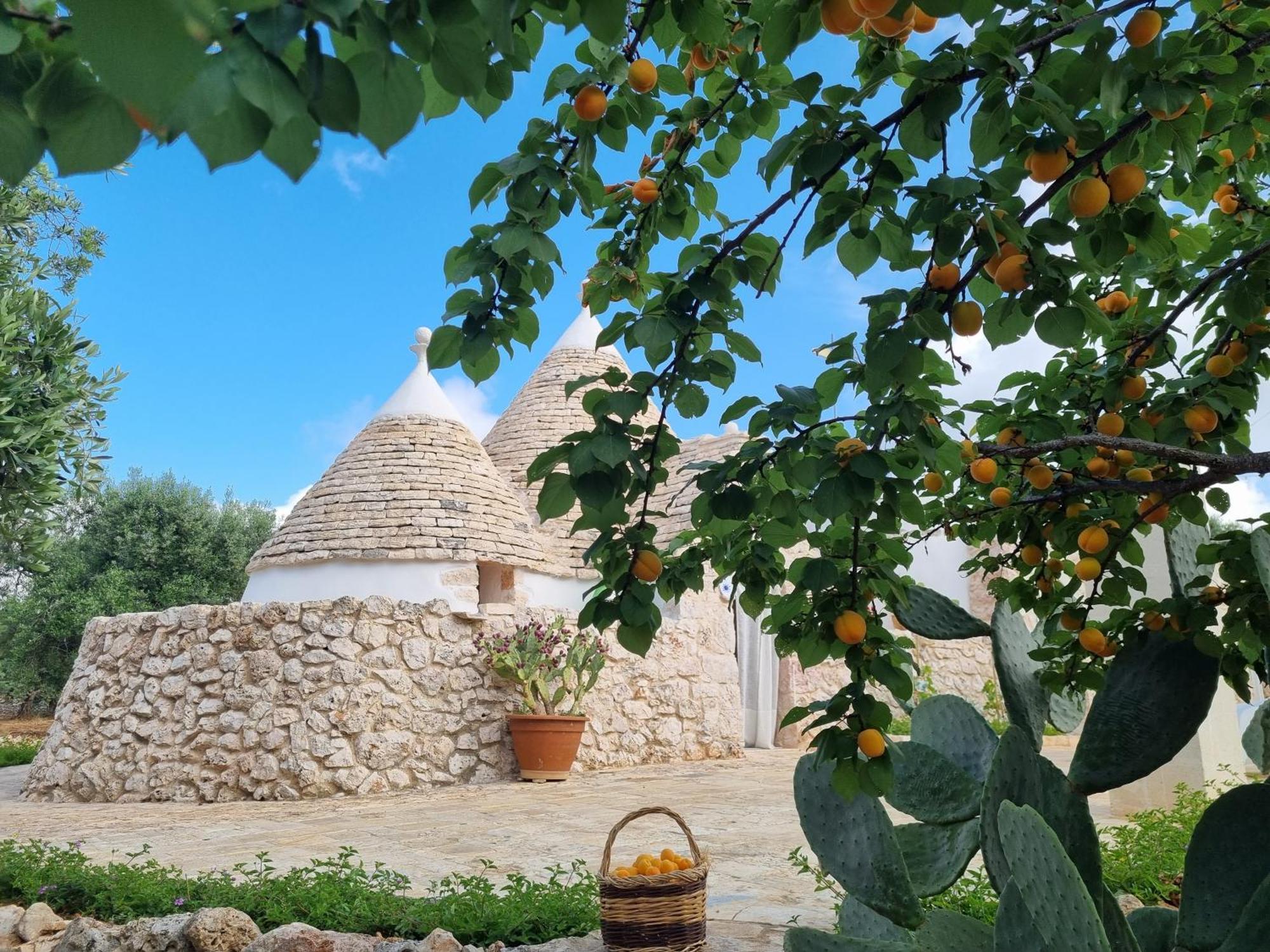 I Trulli Di Spinaruta Bed & Breakfast Grottaglie Exterior foto